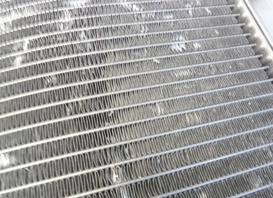 Radiateur Honda CBR 900 RR
