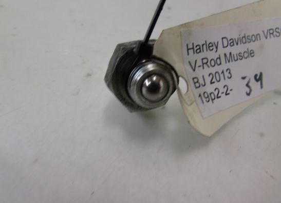 Motorblock Sonstiges Harley Davidson Overige Harley Davidson