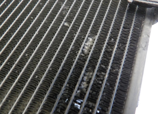 Radiateur Yamaha FZ6