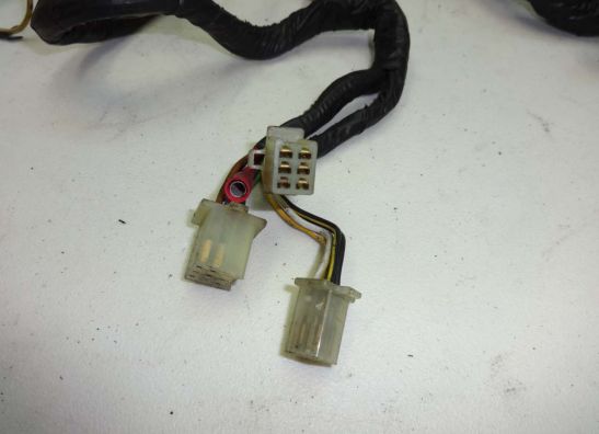 Wire Harness Kawasaki GPX 600