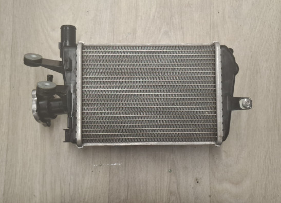 Radiateur BMW R 1200 GS LC Adventure