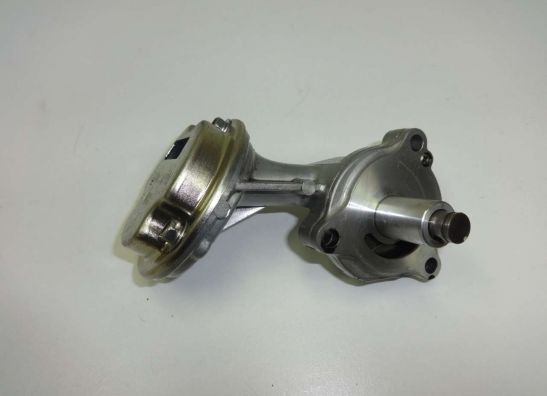 Oil pump Suzuki LS 650