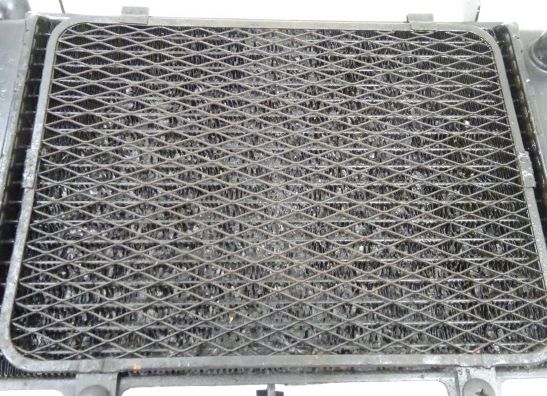 Radiateur Suzuki TL 1000
