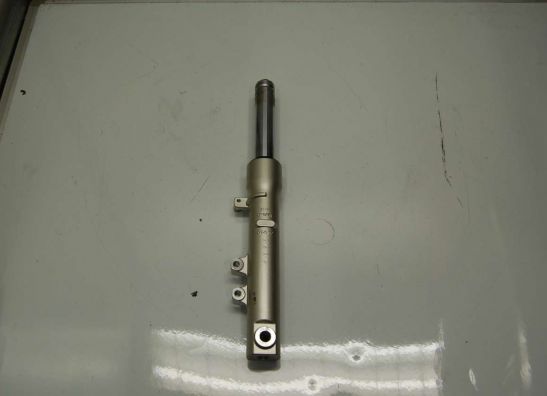 Front Fork left complete Honda Lead
