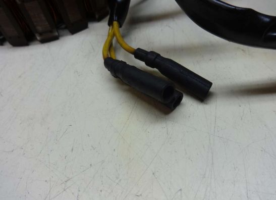 Dynamo Kawasaki ZL 900 Eliminator