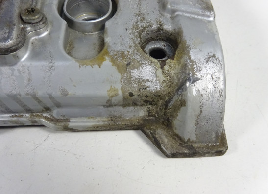 Kleppendeksel BMW F 800 S - ST