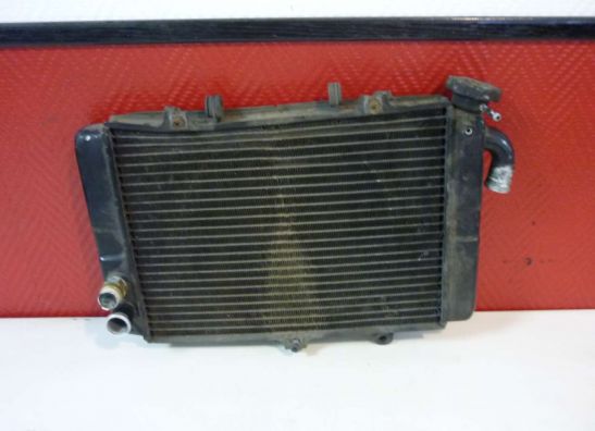 Radiateur Kawasaki ZX 6 R