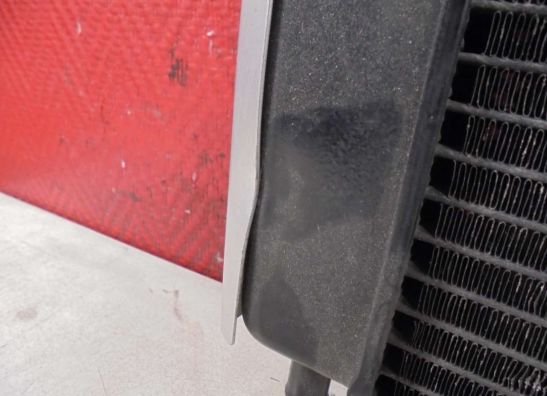 Radiateur Yamaha FAZER 600