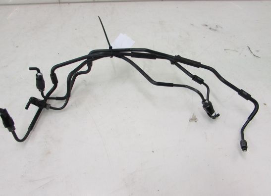 Bremsleitung vorne Honda CBR 600 RR