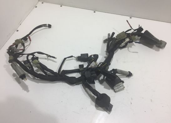 Kabelboom voor Yamaha FJR 1300