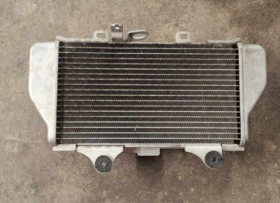 Radiateur Honda CRF 1100 Africa Twin