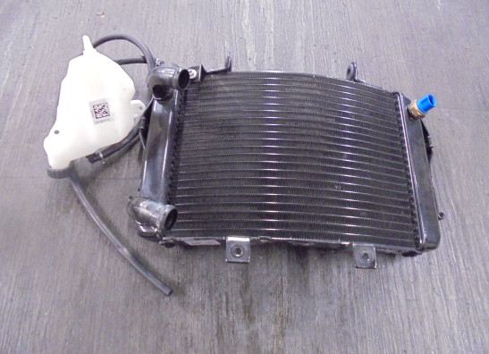 Radiator KTM 690 Duke 