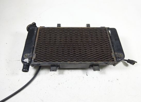 Radiateur Yamaha TDM