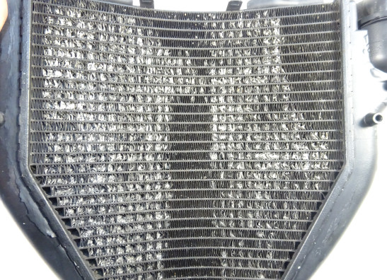 Radiateur BMW K 1200 S 