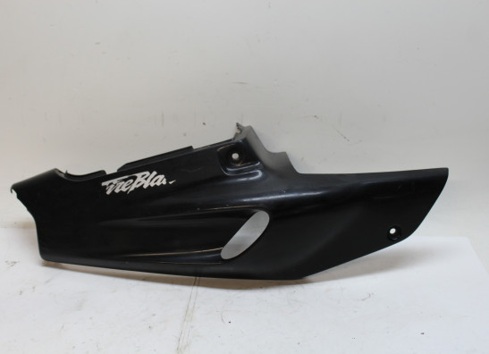 Heck rechts Honda CBR 900 RR