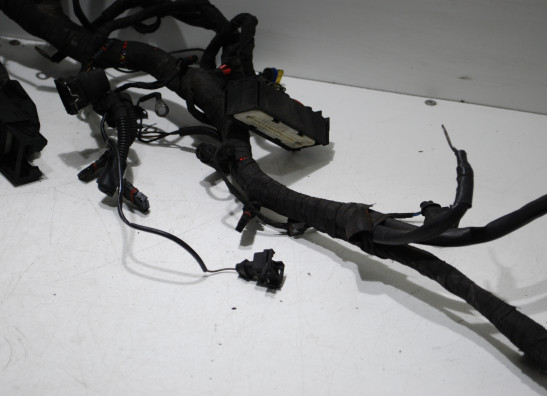 Kabelbaum BMW R 1200 RT