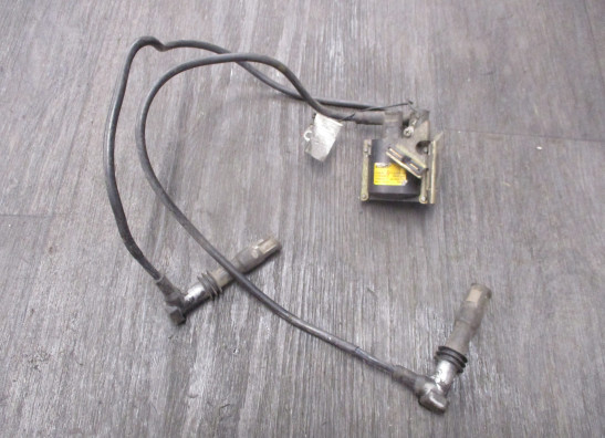 Bobine BMW R 1150 R 2001-2005