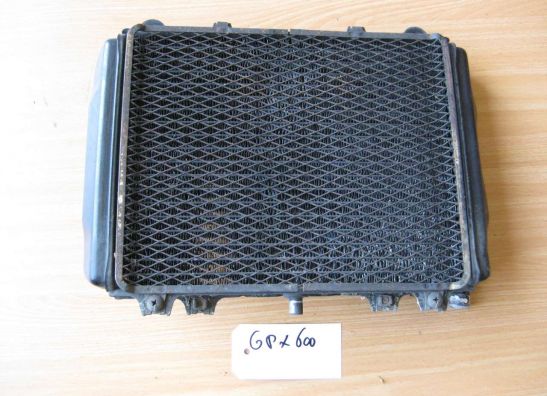 Radiator Kawasaki GPX 600