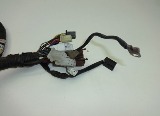 Wire Harness Yamaha FAZER 600