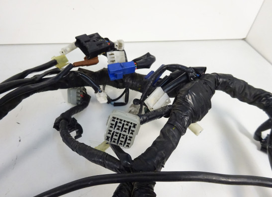 Kabelbaum Yamaha FZ1