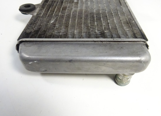 Kuhler Yamaha XTX 660