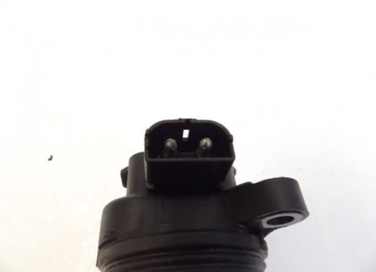 Bobine Triumph Sprint ST 955