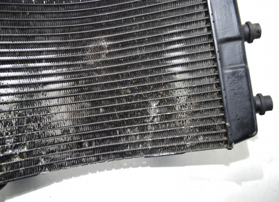 Radiator Yamaha GTS 1000