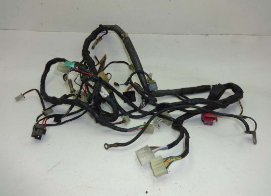 Wire Harness Kawasaki ZZR 600