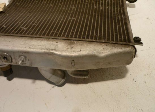 Radiator Suzuki GSX R 600
