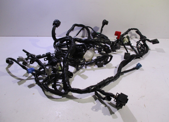 Wire Harness Kawasaki Z 900