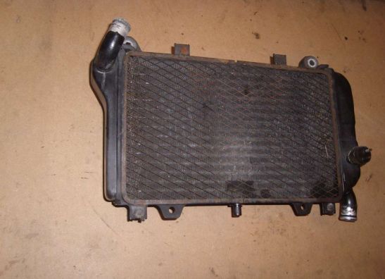 Radiator Kawasaki ZZR 600