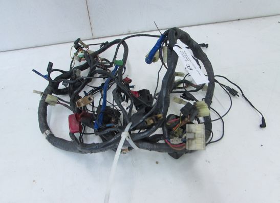 Wire Harness Kawasaki ZZR 1100