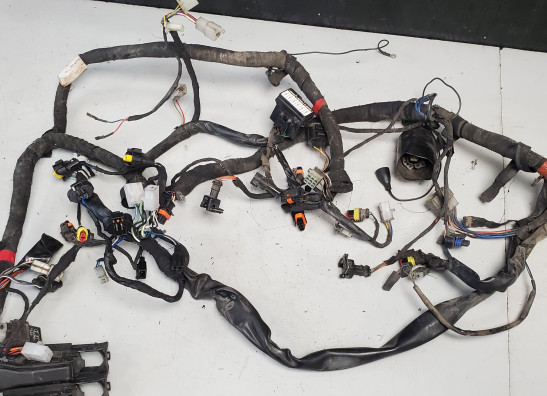 Kabelboom Aprilia Tuono 1000