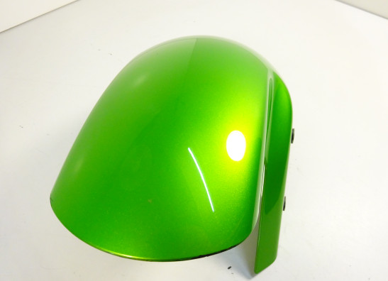 Voorspatbord Kawasaki ER 6