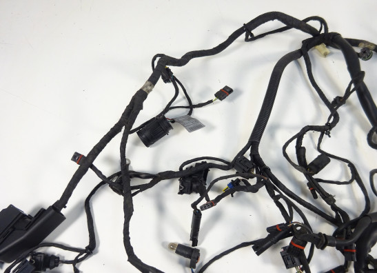 Kabelboom BMW F 650 GS