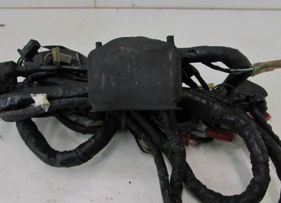 Kabelboom Honda CBR 1000 F