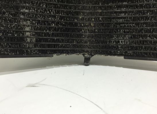 Kuhler Suzuki GSX R 750