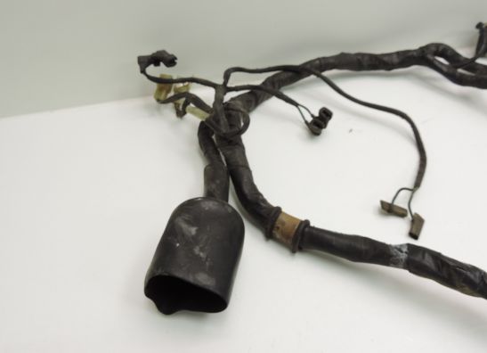 Wire Harness Honda TRANSALP