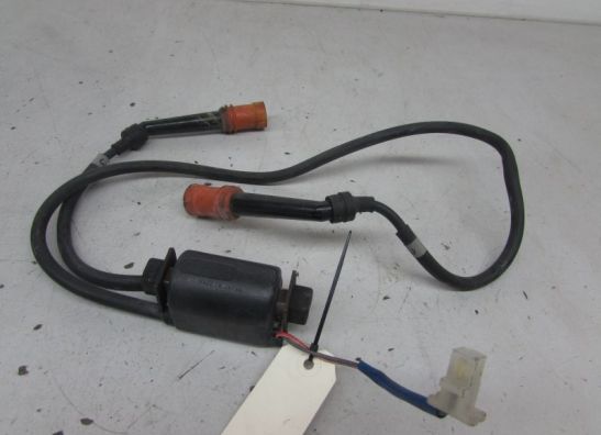 Bobine Yamaha FZ 750