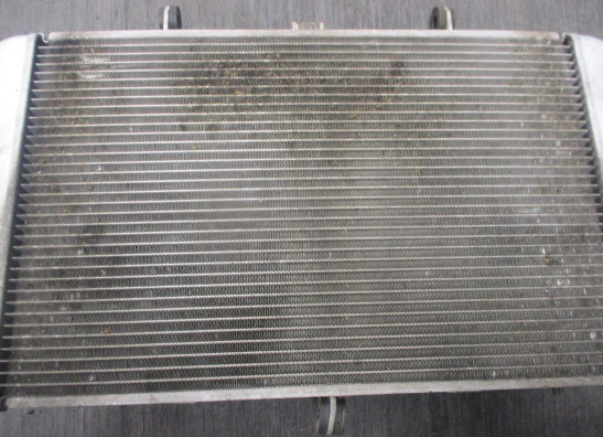 Radiator Kawasaki Z 1000 Sx
