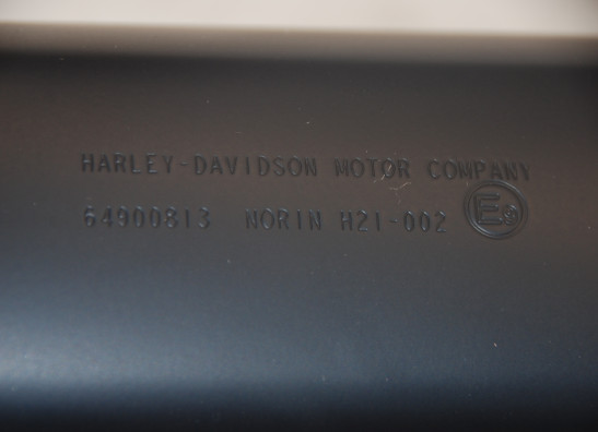 Auspuff Harley Davidson Pan America