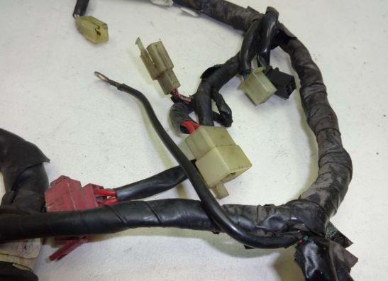 Kabelboom Honda VT 500