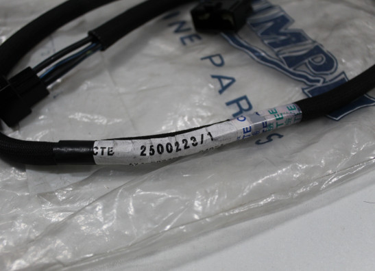 Wire Harness Triumph Overige Triumph