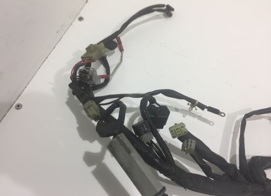 Wire harness front Yamaha FJR 1300