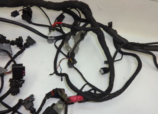 Wire Harness BMW F 800 S - ST