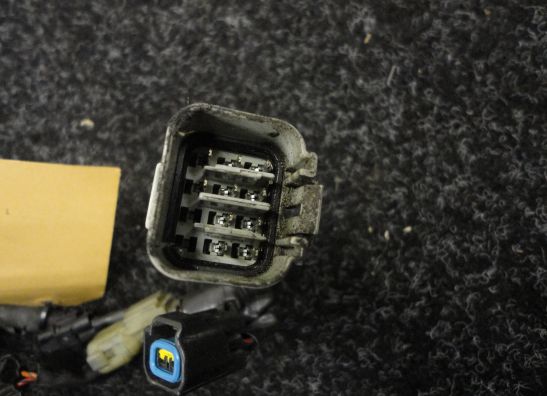 Kabelbaum Yamaha YZF R1