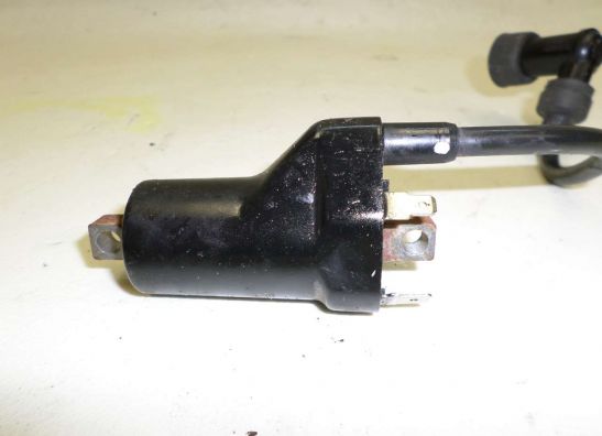 Bobine Suzuki GS 500 E