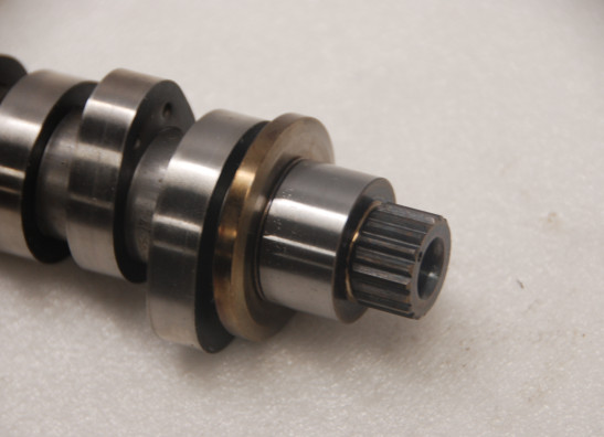 Nokkenas Harley Davidson Softtail