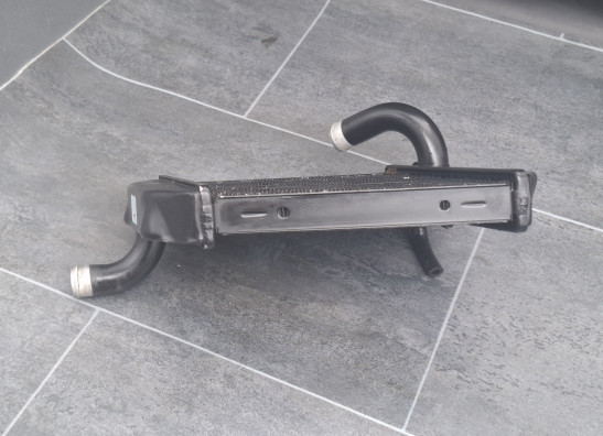 Radiator Buell 1125 R