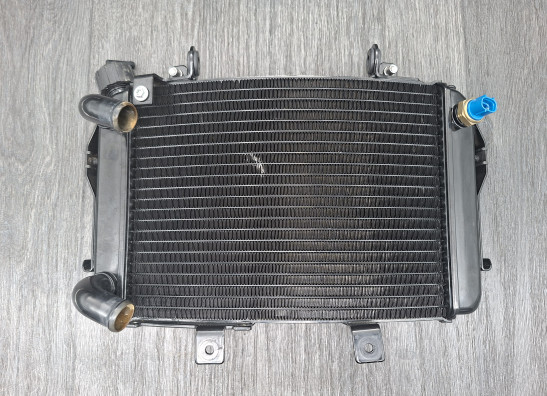 Radiator KTM 690 Duke 
